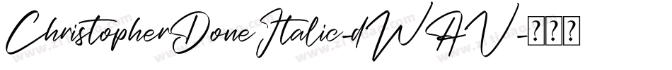 ChristopherDoneItalic-dWAV字体转换