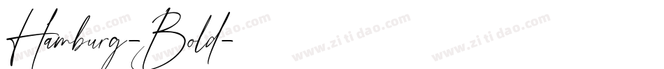 Hamburg-Bold字体转换