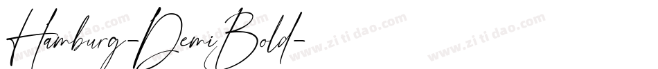 Hamburg-DemiBold字体转换