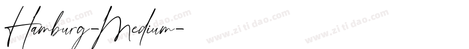 Hamburg-Medium字体转换