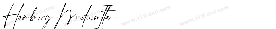 Hamburg-MediumIta字体转换
