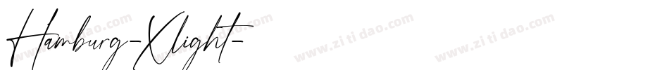 Hamburg-Xlight字体转换