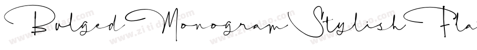 BulgedMonogramStylishFlat字体转换