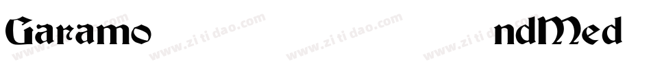 GaramondMedium-1字体转换