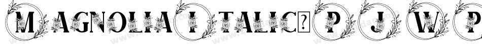 MagnoliaItalic-PJWP字体转换
