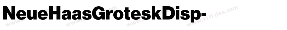 NeueHaasGroteskDisp字体转换