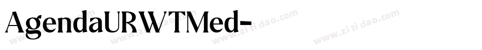 AgendaURWTMed字体转换