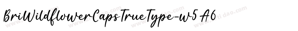 BriWildflowerCapsTrueType-w5A6字体转换