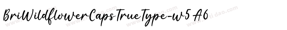 BriWildflowerCapsTrueType-w5A6字体转换