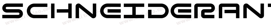 SchneiderAntiquaBQ-Regular字体转换