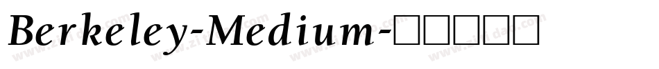 Berkeley-Medium字体转换
