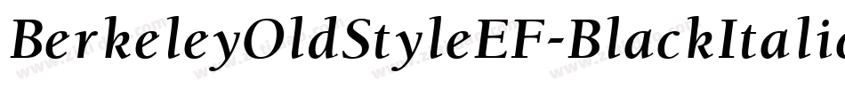 BerkeleyOldStyleEF-BlackItalic字体转换