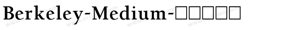 Berkeley-Medium字体转换