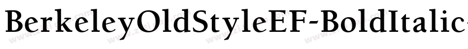 BerkeleyOldStyleEF-BoldItalic字体转换
