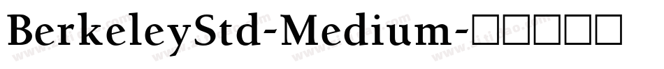 BerkeleyStd-Medium字体转换