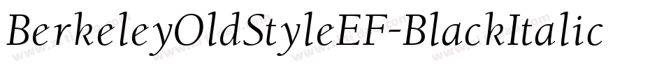 BerkeleyOldStyleEF-BlackItalic字体转换