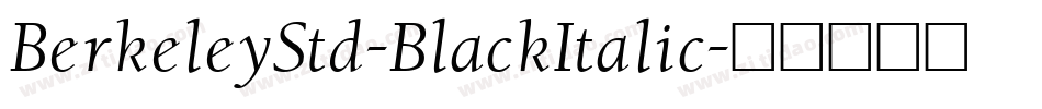 BerkeleyStd-BlackItalic字体转换