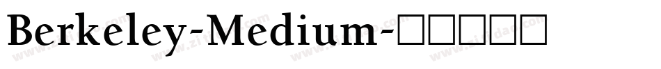 Berkeley-Medium字体转换