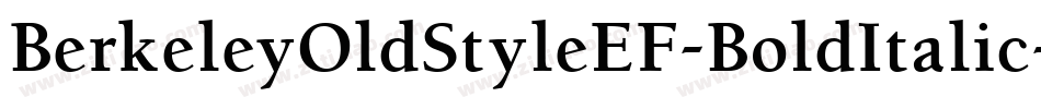 BerkeleyOldStyleEF-BoldItalic字体转换