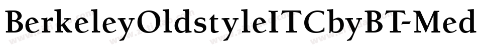 BerkeleyOldstyleITCbyBT-MedItal字体转换