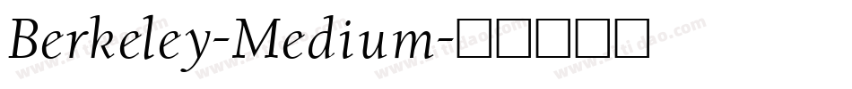 Berkeley-Medium字体转换
