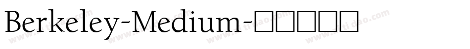 Berkeley-Medium字体转换