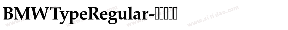 BMWTypeRegular字体转换
