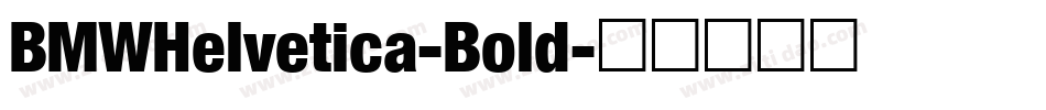 BMWHelvetica-Bold字体转换