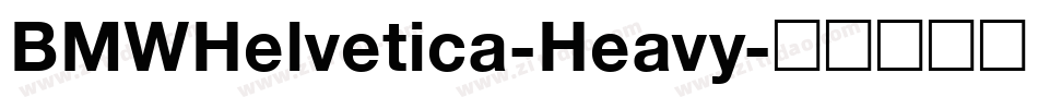 BMWHelvetica-Heavy字体转换