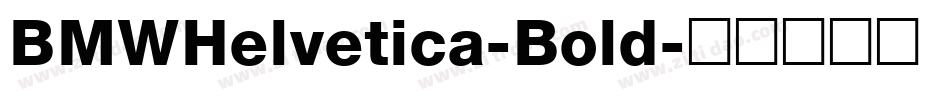 BMWHelvetica-Bold字体转换