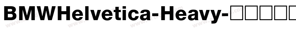 BMWHelvetica-Heavy字体转换