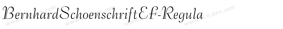 BernhardSchoenschriftEF-Regular字体转换