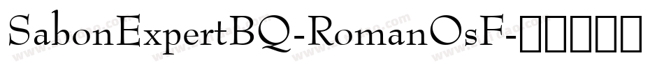 SabonExpertBQ-RomanOsF字体转换