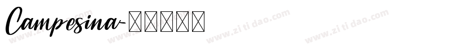 Campesina字体转换