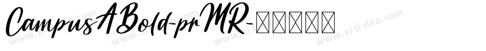 CampusABold-prMR字体转换
