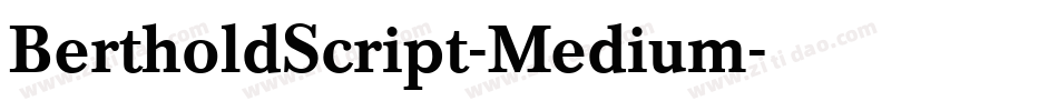 BertholdScript-Medium字体转换