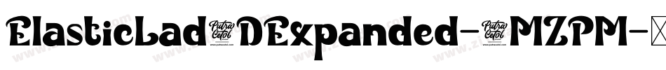 ElasticLad3DExpanded-8MZPM字体转换