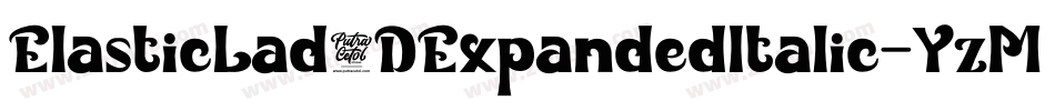 ElasticLad3DExpandedItalic-YzM6q字体转换