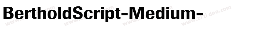 BertholdScript-Medium字体转换