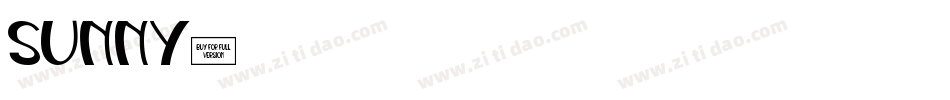sunny字体转换