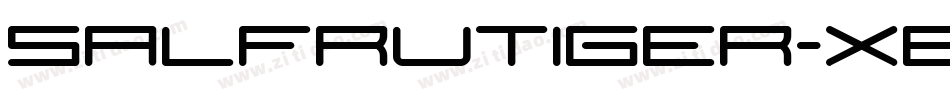 SALFrutiger-XBold字体转换