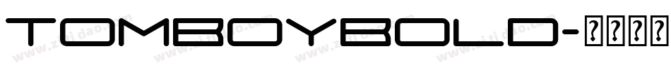 TomboyBold字体转换