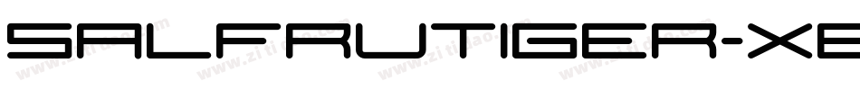 SALFrutiger-XBold字体转换