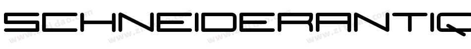 SchneiderAntiquaBQ-Bold字体转换