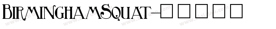 BirminghamSquat字体转换