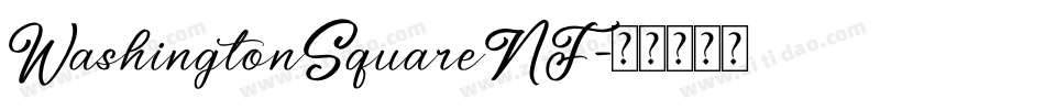 WashingtonSquareNF字体转换