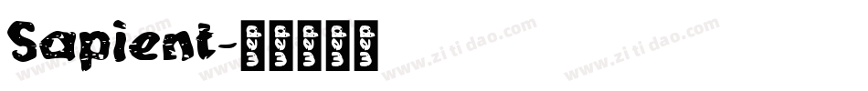 Sapient字体转换