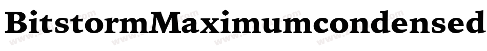 BitstormMaximumcondensedOblique-MXjp字体转换
