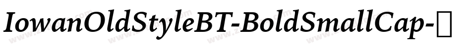 IowanOldStyleBT-BoldSmallCap字体转换