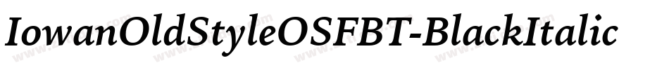 IowanOldStyleOSFBT-BlackItalic字体转换